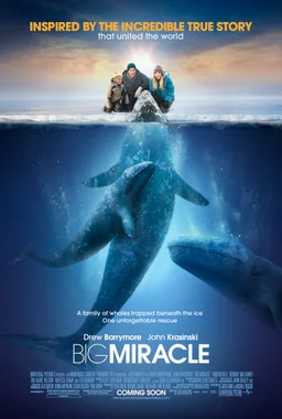 Poster for Big Miracle (2012)