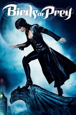 Poster for Birds of Prey - Season 1