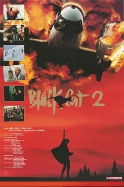 Poster for Black Cat 2 (1992)