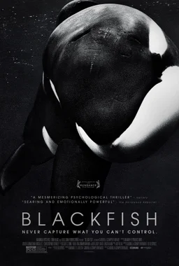 Poster for Blackfish (2013)
