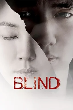 Poster for Blind (2011)