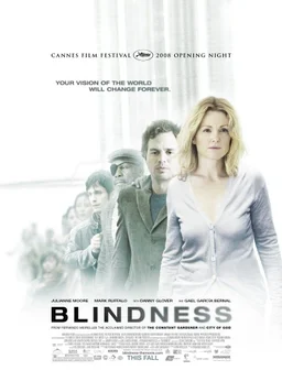 Poster for Blindness (2008)