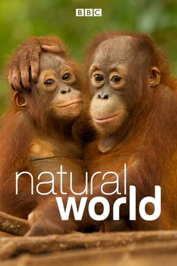Poster for Natural World - Season 33