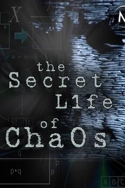 Poster for The Secret Life of Chaos (2010)