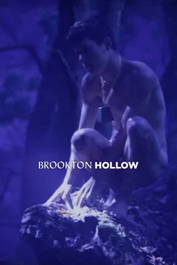 Poster for Brookton Hollow (2010)