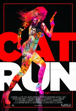 Poster for Cat Run (2011)