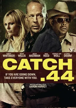 Poster for Catch .44 (2011)