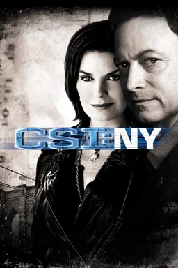 Poster for CSI: NY - Season 7