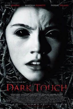 Poster for Dark Touch (2013)