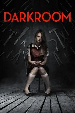 Poster for Darkroom (2013)