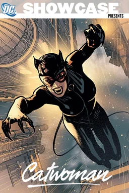 Poster for Catwoman (2011)
