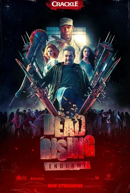 Poster for Dead Rising: Endgame (2016)