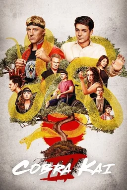Poster for Cobra Kai - Season 3