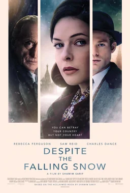 Poster for Despite the Falling Snow (2016)