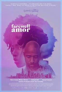 Poster for Farewell Amor (2020)