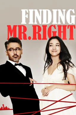 Poster for Finding Mr. Right (2013)