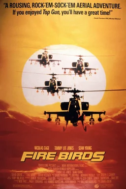 Poster for Fire Birds (1990)