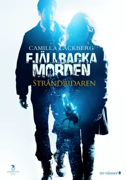 Poster for Fjällbackamorden: Strandridaren (2013)
