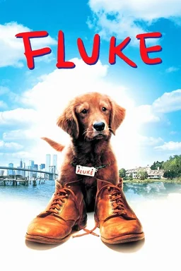 Poster for Fluke (1995)