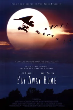 Poster for Fly Away Home (1996)