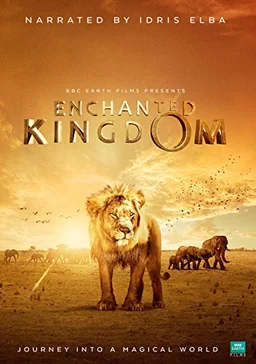 Poster for Enchanted Kingdom (2014)
