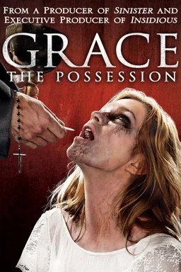 Poster for Grace: The Possession (2014)