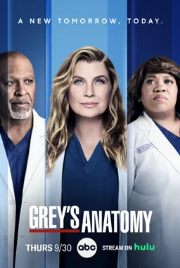 Poster for Grey's Anatomy - Season 11