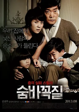 Poster for Hide and Seek (2013)