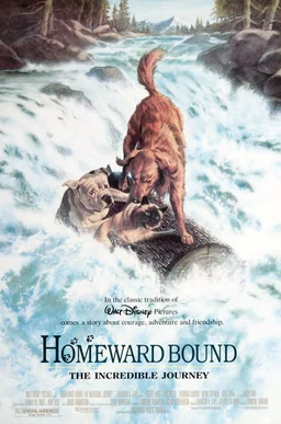 Poster for Homeward Bound: The Incredible Journey (1993)