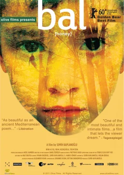 Poster for Honey (2010)