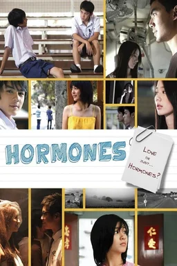 Poster for Hormones (2008)