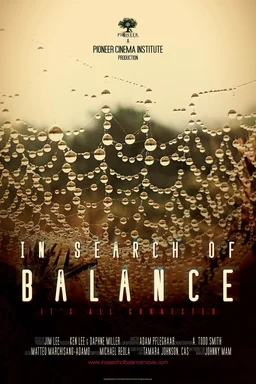 Poster for In Search of Balance (2016)