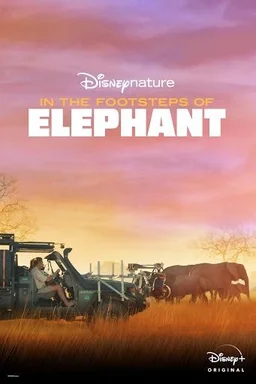 Poster for In the Footsteps of Elephant (2020)
