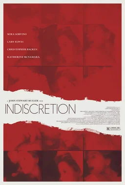 Poster for Indiscretion (2016)