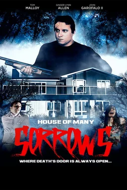 Poster for House of Many Sorrows (2020)