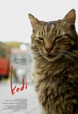 Poster for Kedi (2016)