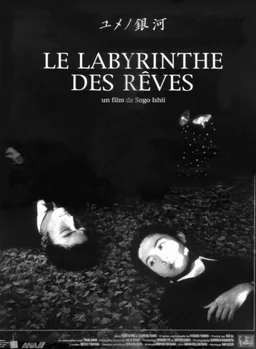 Poster for Labyrinth of Dreams (1997)