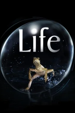 Poster for Life - Season 1