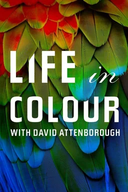 Poster for Life in Colour - Season 1