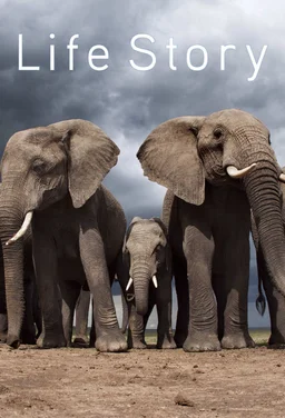 Poster for Life Story - Season 1