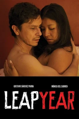 Poster for Leap Year (2010)