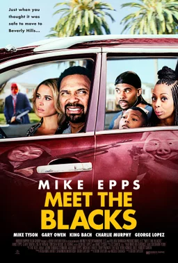 Poster for Meet the Blacks (2016)