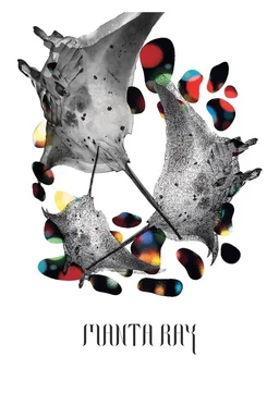 Poster for Manta Ray (2018)