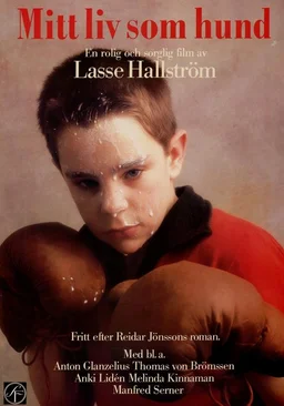 Poster for My Life as a Dog (1985)