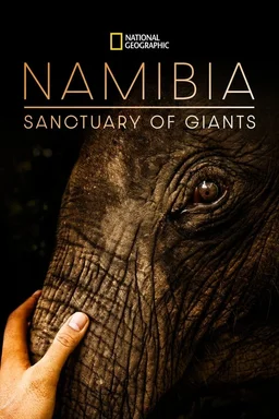Poster for Namibia, Sanctuary of Giants (2016)