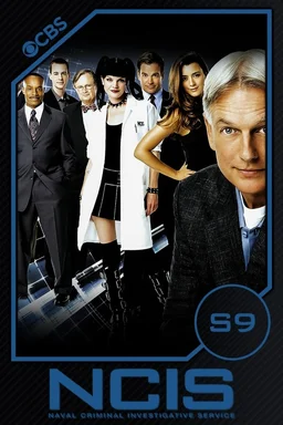 Poster for NCIS - Season 9