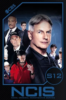 Poster for NCIS - Season 12