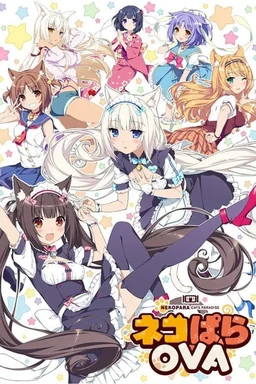 Poster for Nekopara (2017)