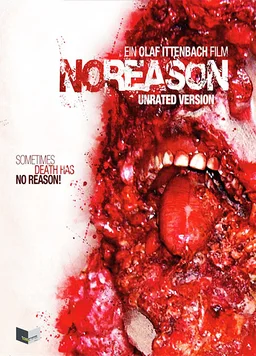 Poster for No Reason (2010)
