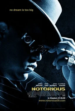 Poster for Notorious (2009)